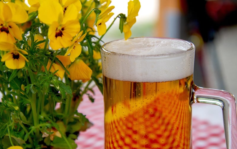 Oktoberfest Festival
